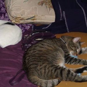 Meet your Posher, Michelle